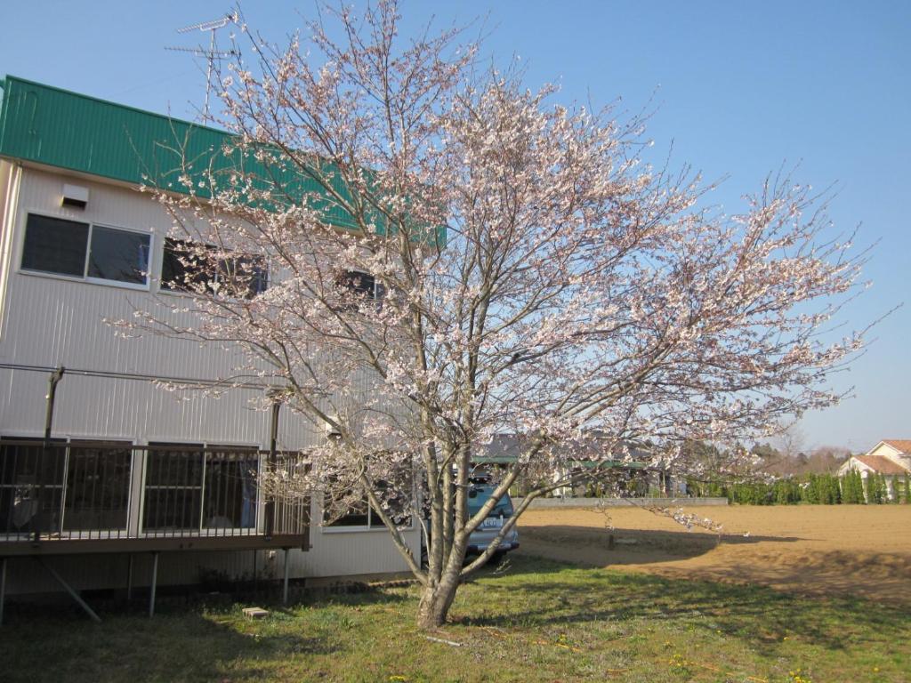 Narita Airport Hostel Shibayama Bagian luar foto